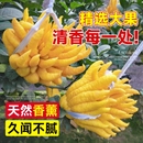 大果佛手柑新鲜果瓜切带枝闻香香橼室内观赏可食用花卉盆栽香薰
