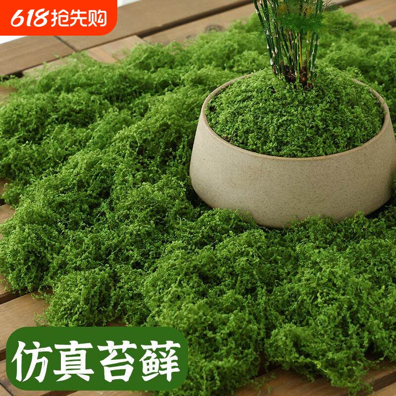 仿真苔藓草皮假青苔丝状仿生绿植盆栽人造景微景观花盆表面覆盖物