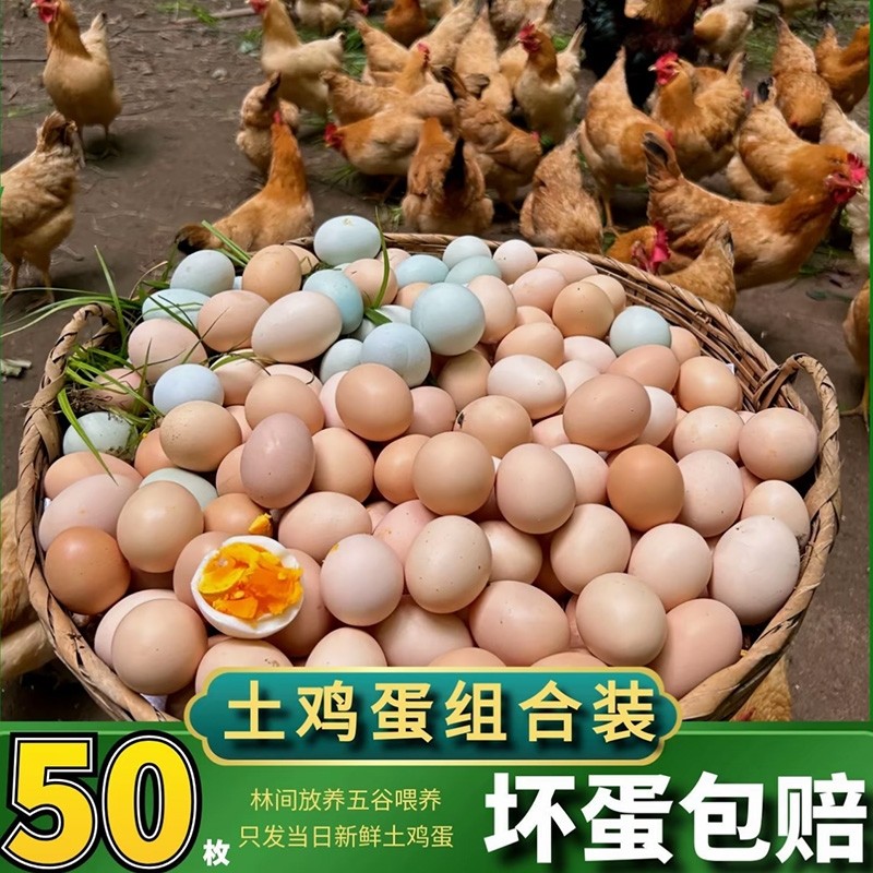 皖南土鸡蛋新鲜正宗农家散养土鸡蛋农村50枚整箱乌柴笨草生鲜鸡蛋,水产肉类/新鲜蔬果/熟食,鸡蛋,淘宝优惠券,粉丝福利购,淘宝优惠卷