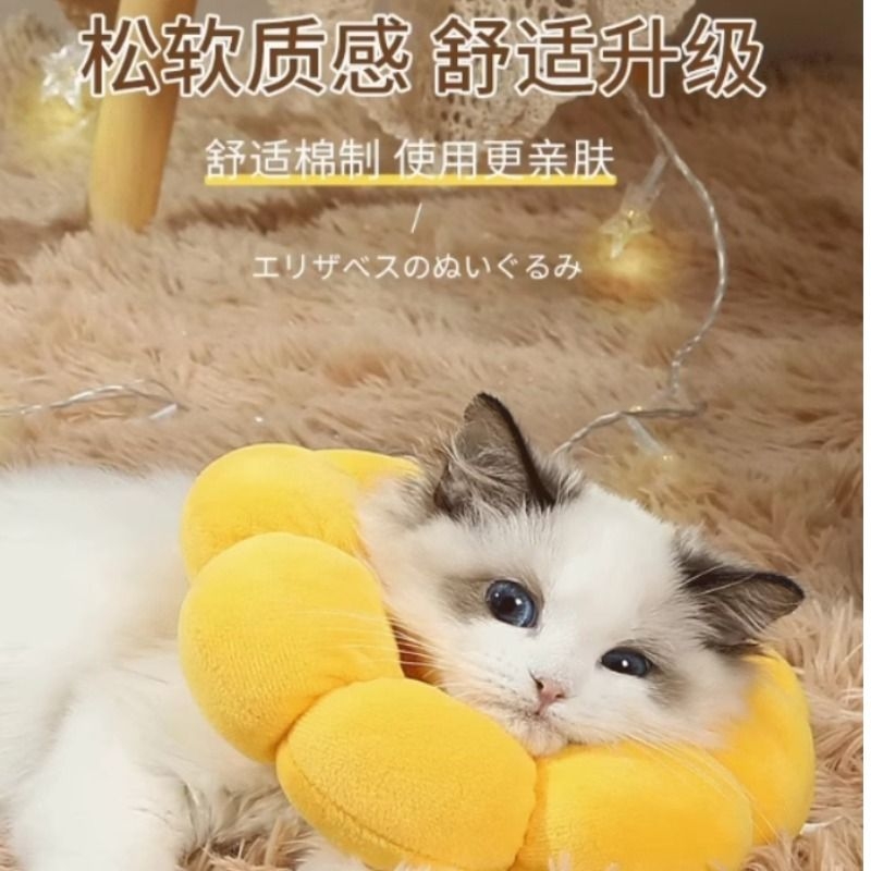 伊丽莎白圈猫绝育项圈防舔英短猫咪脖圈颈圈头套狗宠物用品