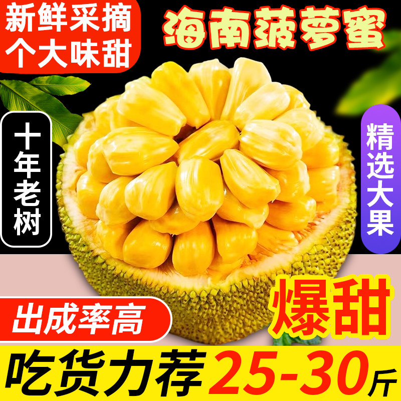 海南三亚黄肉菠萝蜜新鲜水果当季脆甜木波罗蜜一整个热带大果果肉