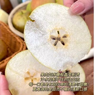 山西临汾隰县玉露香梨产地直采个大饱满