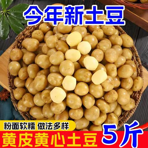 正宗恩施小土豆现挖新鲜