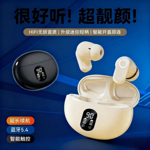 蓝牙耳机2025新款入耳式无线主动降噪高音质运动适用索尼政府补贴