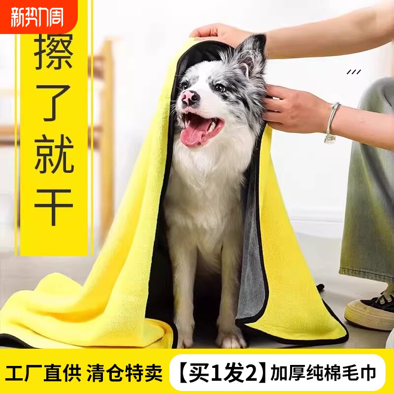 宠物毛巾吸水速干加厚加大不粘毛狗狗猫咪专用洗澡浴巾宠物专用品