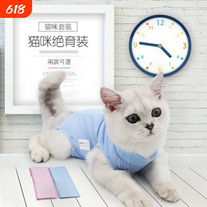 猫咪可调生理母猫绝育手术服护肚恢复保咪产后断奶康复猫咪衣服