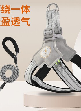 狗狗牵引绳背心式宠物胸背带遛狗绳比熊泰迪狗链子伸缩自动大型犬