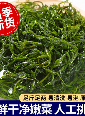 鞭炮笋长寿菜盐渍马尾藻火锅用食材海草海藻整箱凉拌凉菜新鲜串串