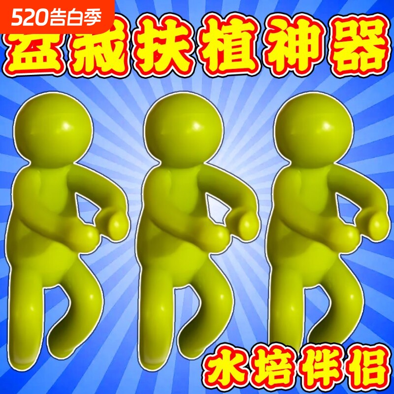 水培植物扶正伴侣水培固定器绿植花瓶扶枝非起泡网定型神器