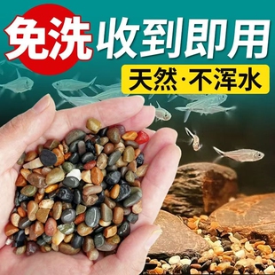 天然溪流石原生缸造景底沙砂鱼缸流水石装饰铺低河沙砂海缸螃蟹