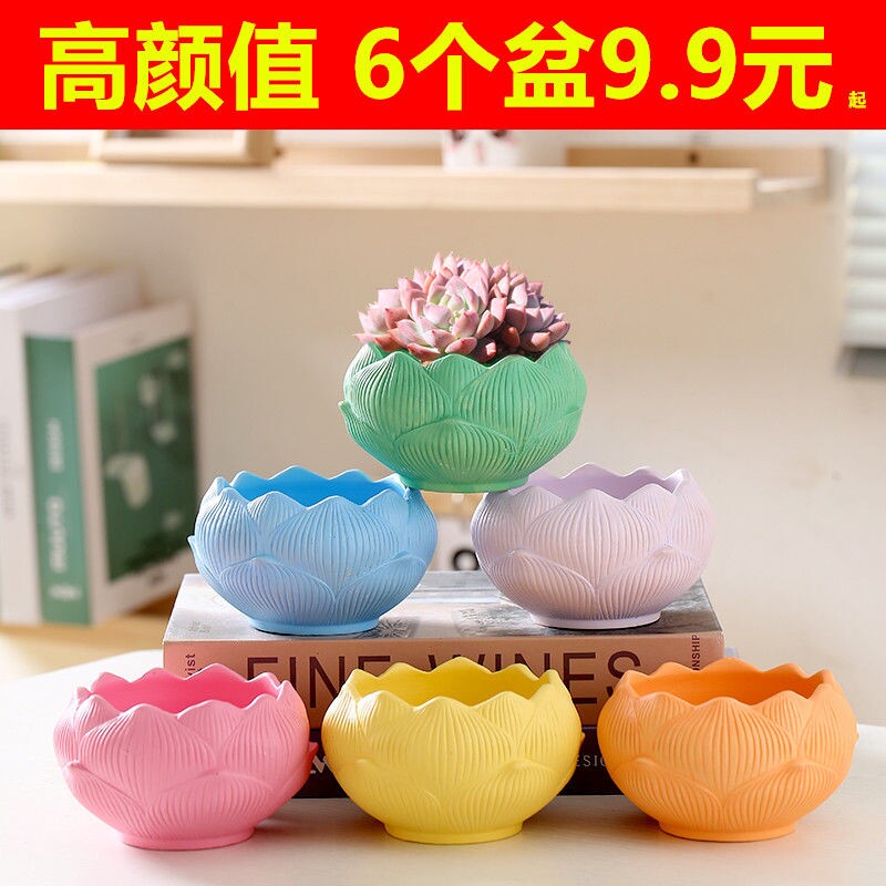 简约多肉植物花盆创意莲花高颜值手工桌面可爱小花盆专用盆陶瓷盆