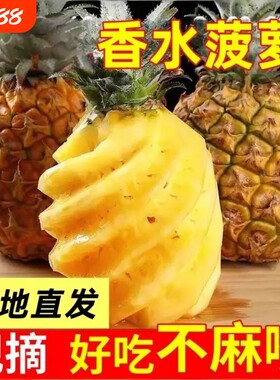 广东湛江徐闻菠萝水果10斤装带箱当季香水菠萝新鲜凤梨小菠萝现摘