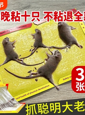 粘鼠板强力粘鼠标超强老鼠贴新款家用强力胶抓杀大老鼠老鼠板灭鼠