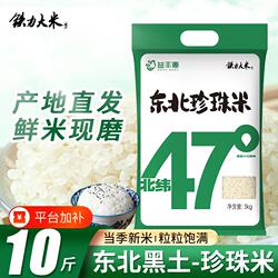铁力大米珍珠米当季新米2025年圆粒米现磨东北大米农家粳米10斤