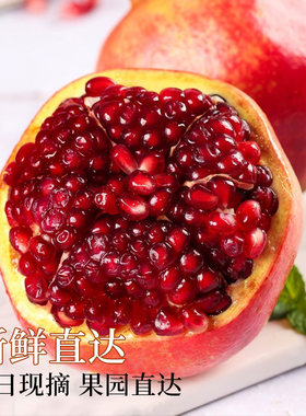 2026正宗突尼斯软籽石榴四川会理新鲜水果现摘产地直发孕妇专吃