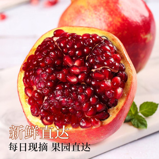 2026正宗突尼斯软籽石榴四川会理新鲜水果现摘产地直发孕妇专吃