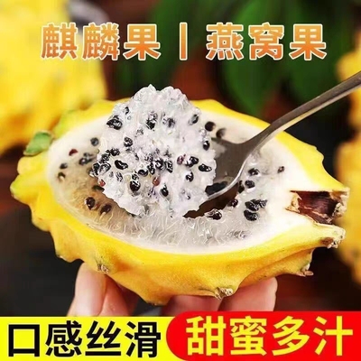 【顺丰】精品麒麟燕窝果黄金果黄火龙果当季新鲜现摘水果礼盒送礼