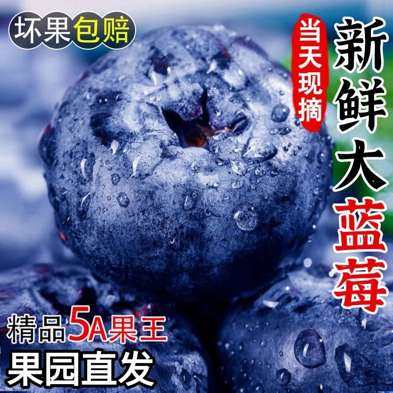 现摘云南高山蓝莓鲜果花香蓝莓野生蓝莓新鲜水果怡颗花香大果整箱