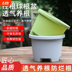 牧狼人矮胖花盆朱顶红铃兰花矮牵牛天竺葵球根草花盆栽专用种植盆