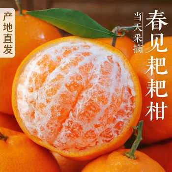 SX四川春见耙耙柑手剥桔子榨汁孕妇儿童时令新鲜水果桔子天然维c实付11.9元到手包邮