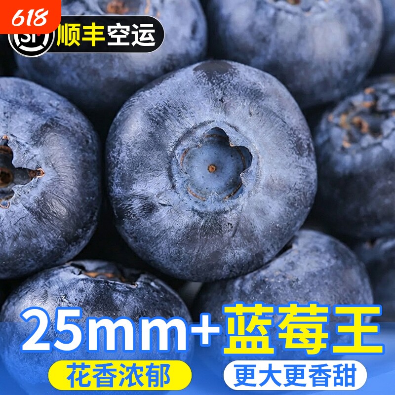云南高山蓝莓  蓝莓鲜果可食整盒装现摘现发果园直发新鲜当季水果