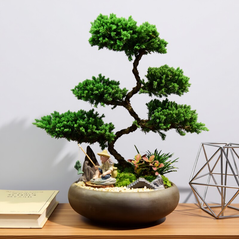 真柏盆栽盆景室内客厅好养办公室绿植桌面四季常青展厅装饰