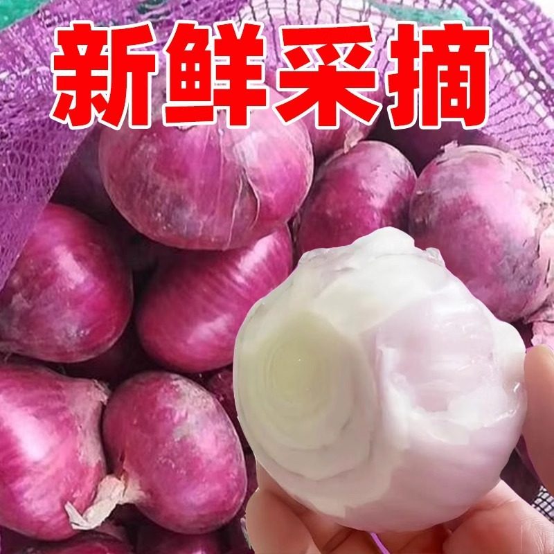 正宗水果洋葱新鲜紫皮洋葱甜味生吃农家蔬菜圆葱葱头5斤现挖,水产肉类/新鲜蔬果/熟食,洋葱/红葱头,淘宝优惠券,粉丝福利购,淘宝优惠卷
