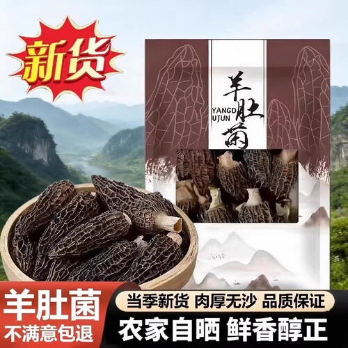 【果官宣】头茬羊肚菌新鲜干货肉厚菌菇夏季煲汤食材老人滋补