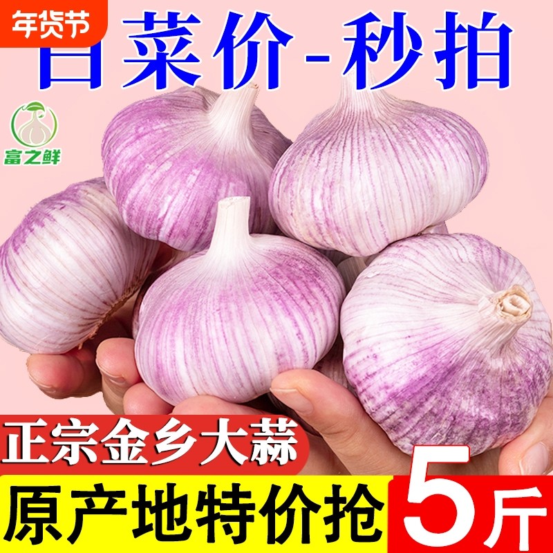 产地价山东紫皮大蒜头干蒜农家自种火锅蔬菜红皮大蒜新鲜种植自提,水产肉类/新鲜蔬果/熟食,大蒜,淘宝优惠券,粉丝福利购,淘宝优惠卷