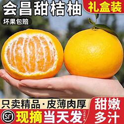 会昌桔柚新鲜水果非庆元建阳甜桔柚赣南现摘橘柑礼盒装纯甜精品
