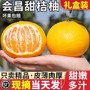 会昌桔柚新鲜水果非庆元建阳甜桔柚赣南现摘橘柑礼盒装纯甜精品