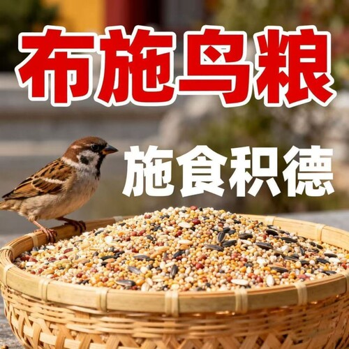 布施鸟食鸟粮营养五谷黍子杂粮小米阳台野外救助麻雀喜鹊鹦鹉饲料