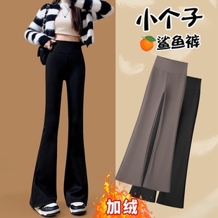高腰显瘦打底裤 145cm小个子微喇鲨鱼裤 女外穿秋冬加绒瑜伽喇叭裤