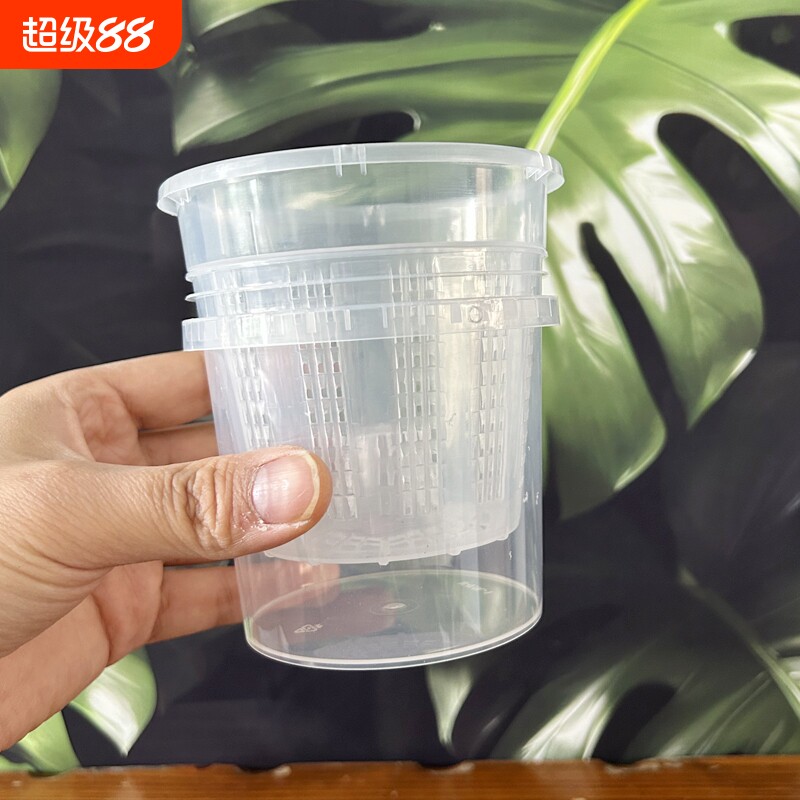 控根盆塑料半水培蝴蝶兰套盆专用花盆透明观根盆透气镂空石斛托盘