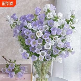 紫色风铃花鲜花花材家用水培插花风铃草鲜切花客厅卧室摆件装 饰品