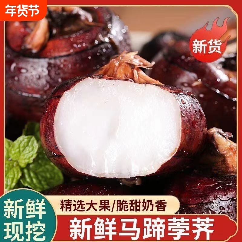 现挖正宗农家安徽现挖新鲜水果马蹄荸荠荔浦水果5蔬菜饽荠包邮,水产肉类/新鲜蔬果/熟食,荸荠/马蹄,淘宝优惠券,粉丝福利购,淘宝优惠卷