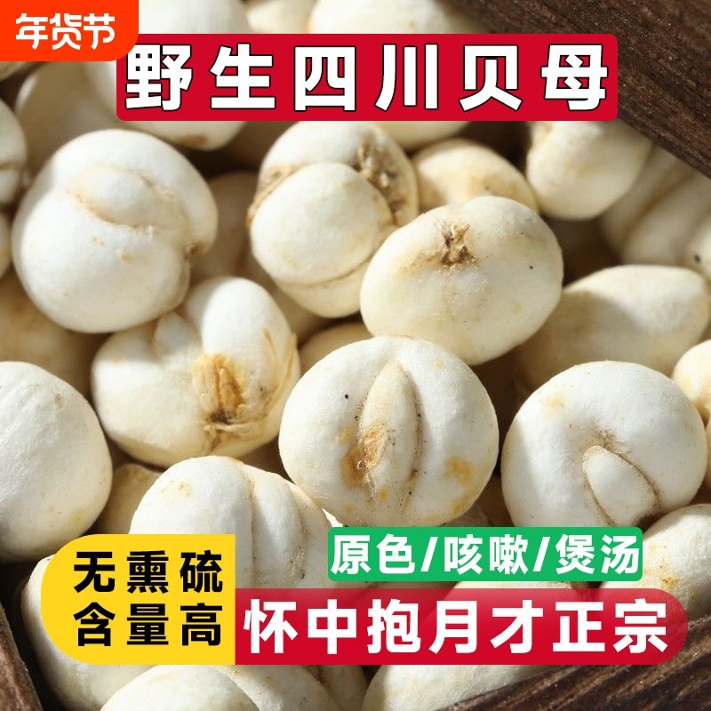 四川川贝母中药材野生川贝正品粒贝母粉止咳煲汤炖梨汤润喉肺贝母