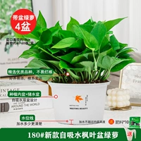 180#1 1 1 1 [4] Potting Pot +10 FAT 2