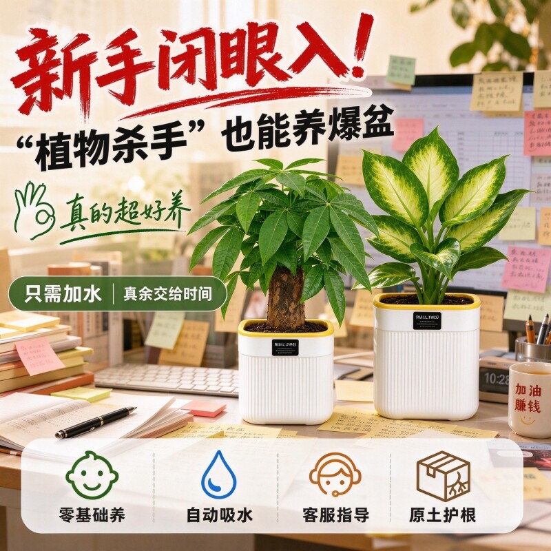 绿植盆栽室内好养水培植物适合客厅办公室桌面花卉发财树绿萝甲醛