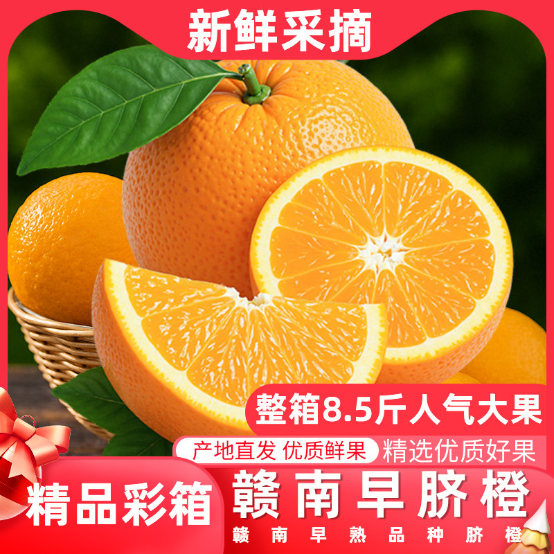 正宗赣南早脐橙精品彩箱装5斤精品水果纽荷尔脐橙新鲜水果汁橙子
