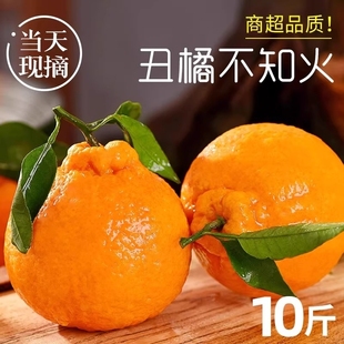 四川不知火丑橘水果新鲜整箱大果9当季斤桔子耙耙粑粑斤丑柑橘子
