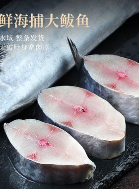 大鲅鱼鲐鲅鱼马鲛鱼大整条冷冻青花鱼马友鱼海鲜批发新鲜深海鱼肉