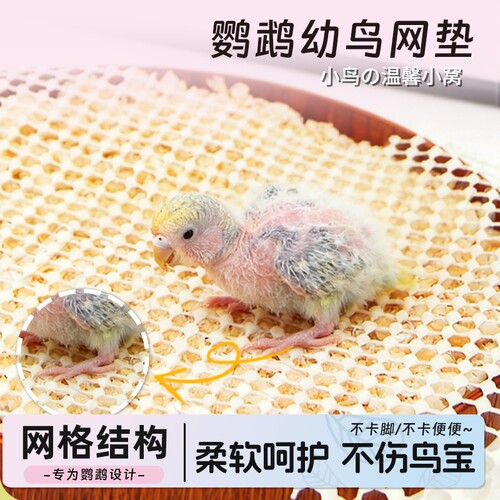鹦鹉垫网养殖防滑垫虎皮牡丹玄凤幼鸟雏鸟脚垫软乳胶隔粪板育雏网