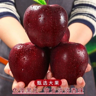 马到功成正宗天水花牛苹果老人水果面粉脆沙甜苹果新鲜5斤现包邮