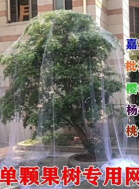 果树防雀网防鸟网樱桃树嘉宝果