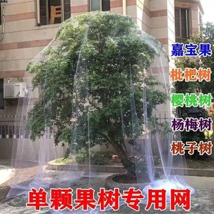 果树防雀网防鸟网樱桃树枇杷树树防鸟罩尼龙网挡鸟拦鸟网子果园