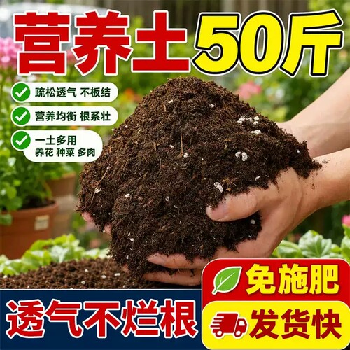 通用营养土高温不烂根疏松透气