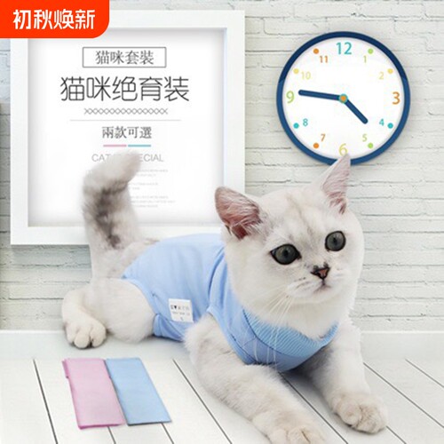 猫咪可调生理母猫绝育手术服护肚恢复保咪产后断奶康复猫咪衣服