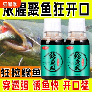 钓鲶鱼专用小药饵料浓腥疯胡子鲶诱饵添加剂臭鱼钓饵溪流新鲜