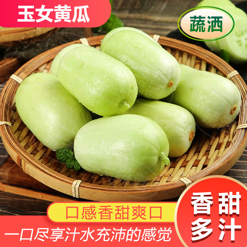 山东黄瓜新鲜玉女黄瓜水果小黄瓜拇指黄瓜生吃青瓜旱白玉黄瓜蔬菜